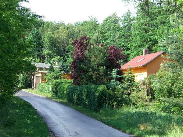 Junkerfeld