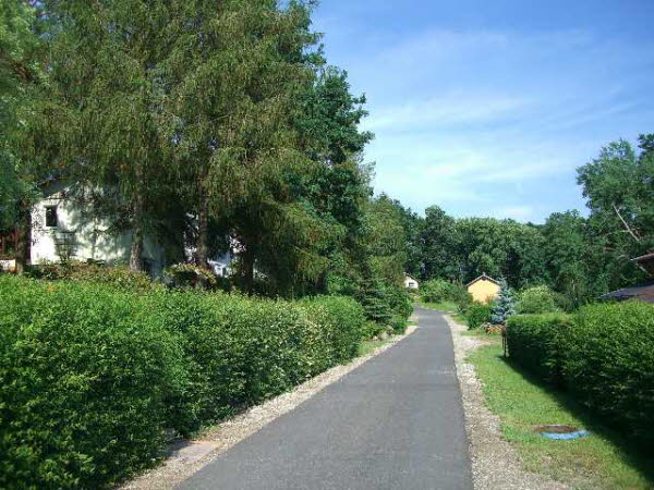 Junkerfeld