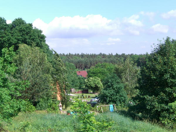 Junkerfeld