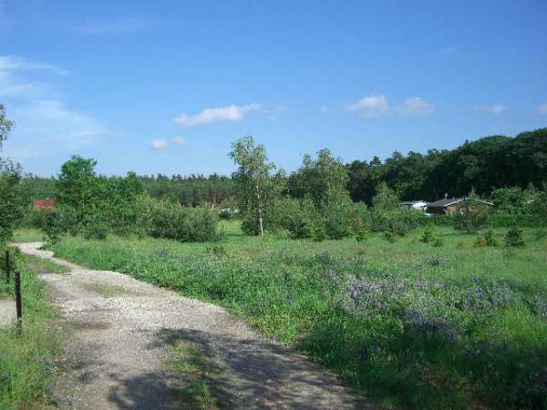 Junkerfeld