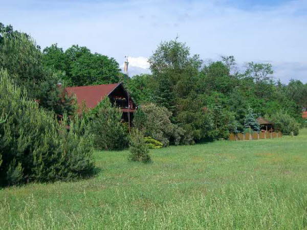 Junkerfeld