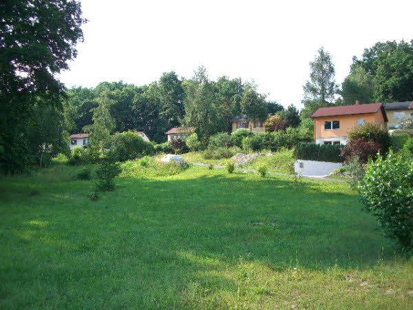 Junkerfeld