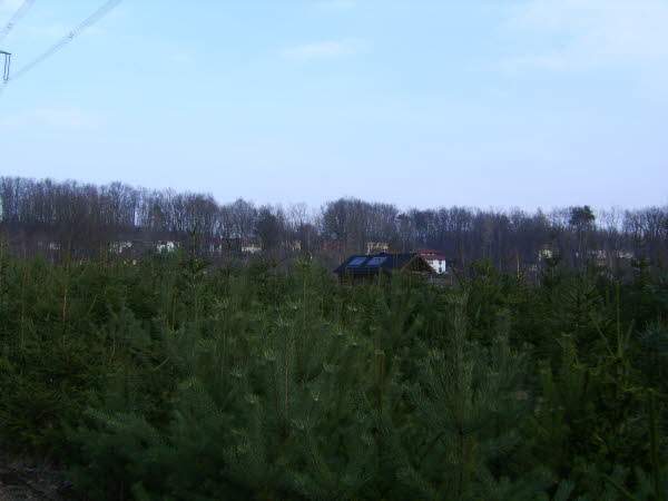 Junkerfeld07