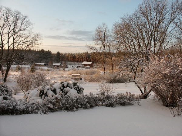 Winter 2005
