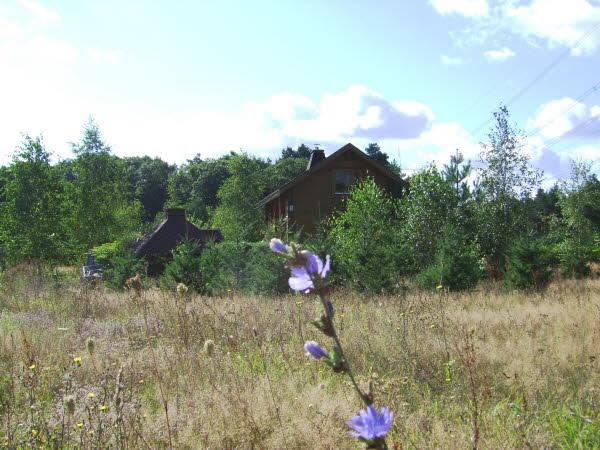 junkerfeld 2007